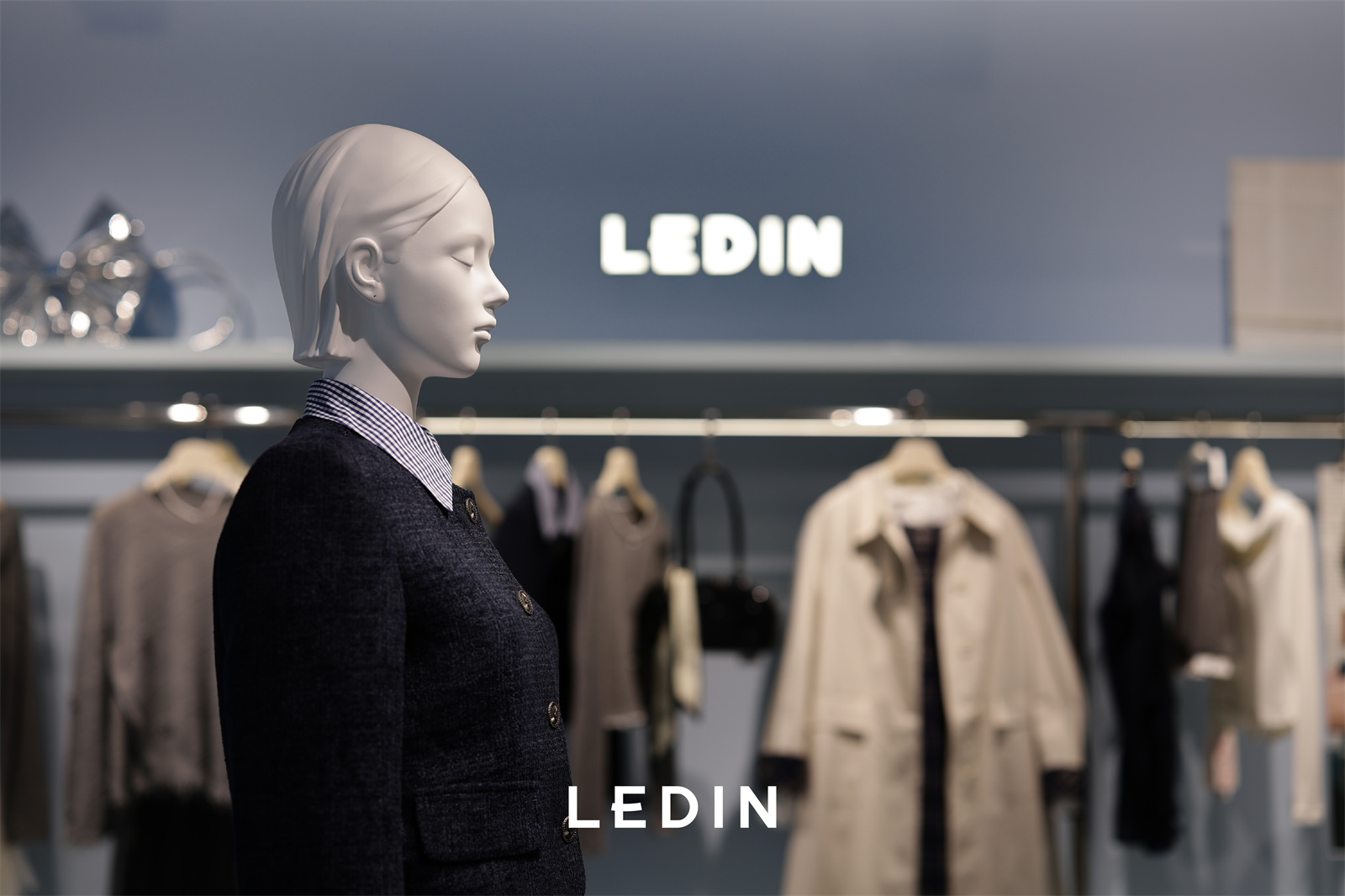 LEDIN